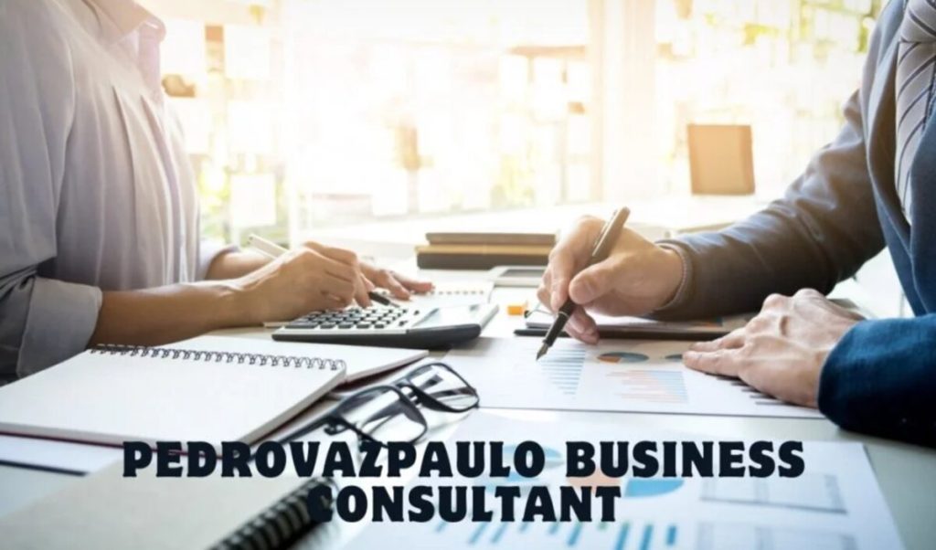 Pedrovazpaulo Business Consultant