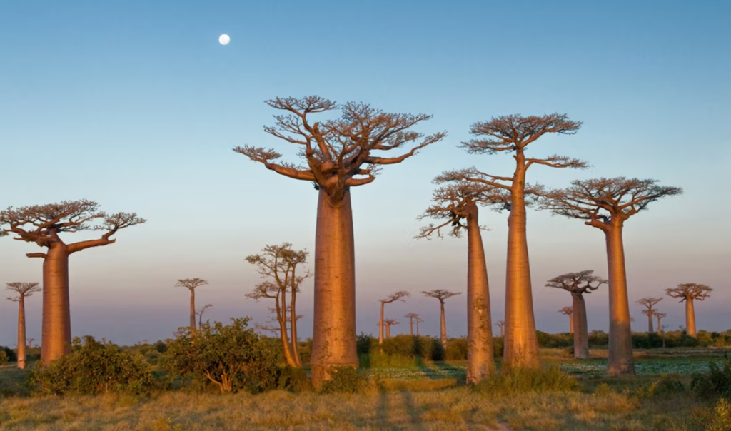 Best Offbeat Destinations for 2024